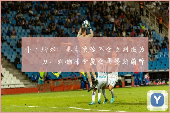 乔·科尔：恩古莫哈不会立刻成为主力，利物浦今夏会再签新前锋